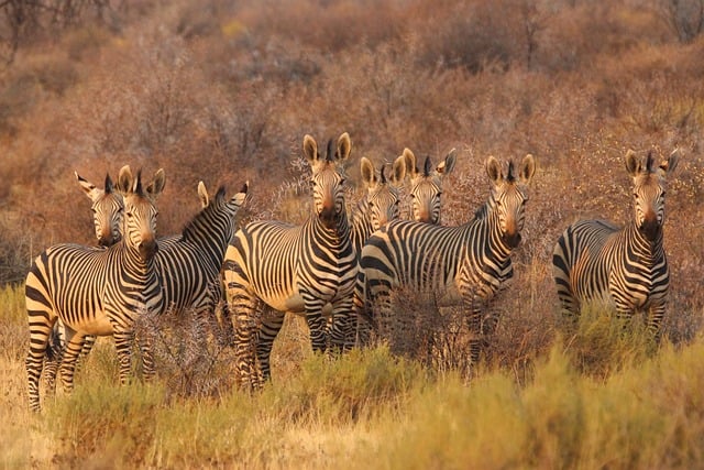 image from South Africa 6 Day Itinerary