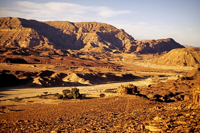 image from Solo Activities South Sinai