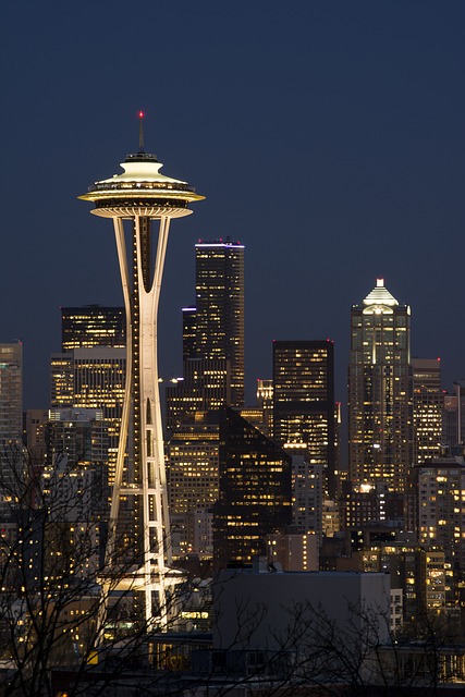 image from Space Needle