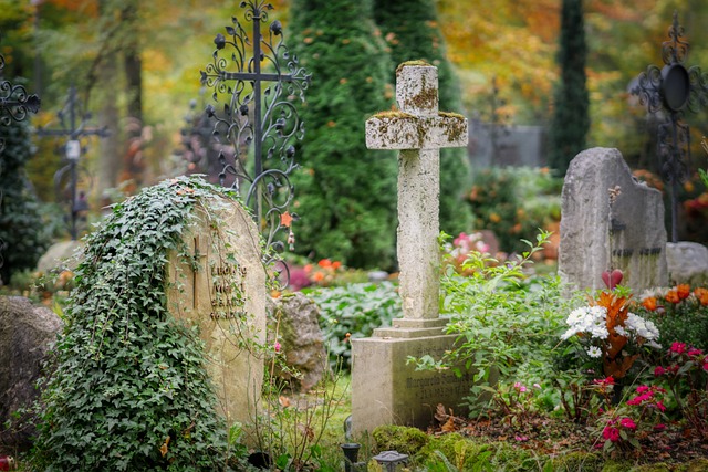 image from Ste Ci Medieval Tombstone Graveyards