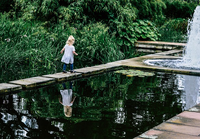 image from Studley Royal Park Fountains Abbey