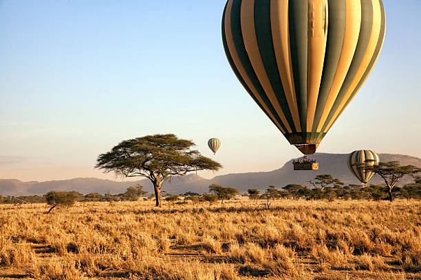 image from Tanzania-7-day-itinerary