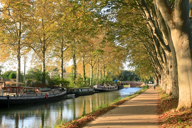 image from Toulouse-4-day-itinerary