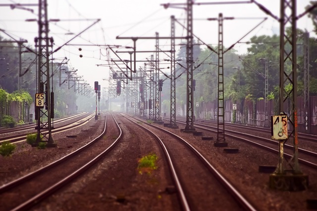 image from Trans Iranian Railway