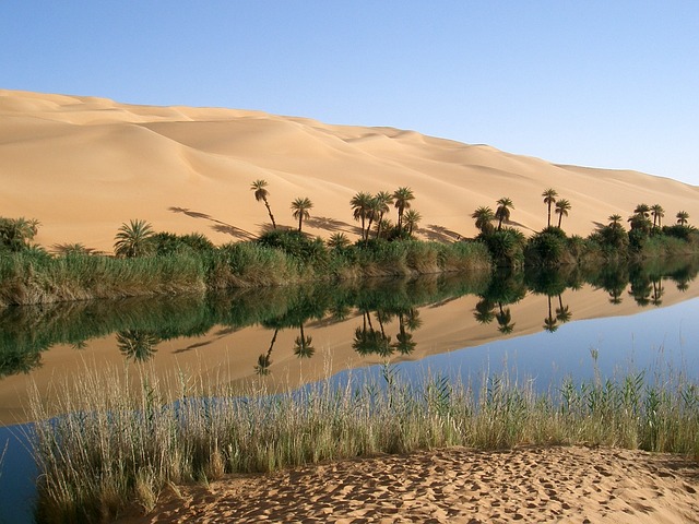 image from Tripoli, Libya-nature-spots