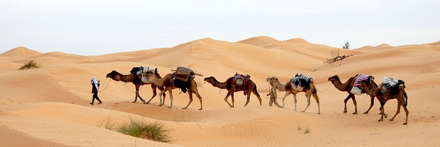 image from Tunis, Tunisia-nature-spots