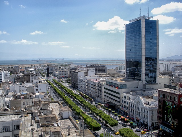 image from Sightseeing Tunis