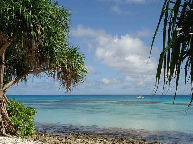 image from Tuvalu 2 Day Itinerary