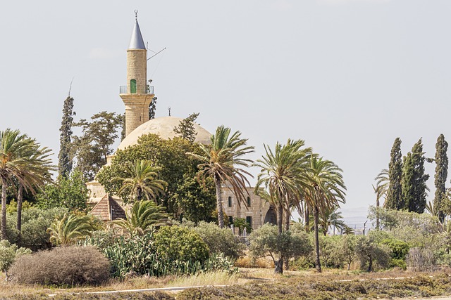 image from Multi-day Trips Umm Qais