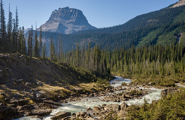 image from Vancouver British Columbia Day Trips