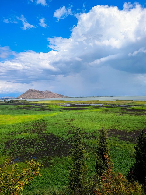 image from Virpazar Boat Tours