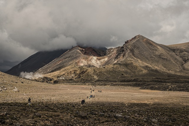 image from Volcanoes National Park Rwanda