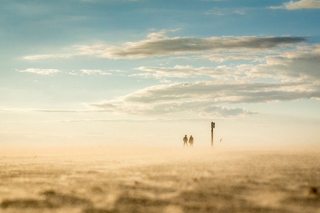 image from Wadden Sea