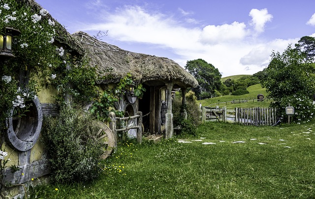 image from Waitomo Caves New Zealand