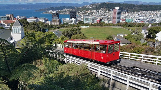 image from Wellington-hiking-areas