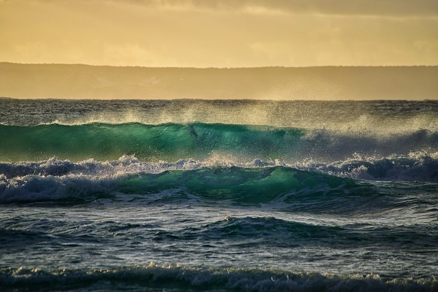 image from Day Trips Western Australia