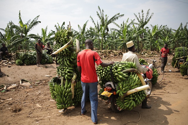 image from Outdoor Activities Western Region Uganda