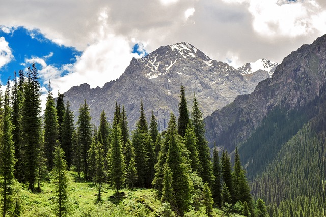 image from Western Tien Shan