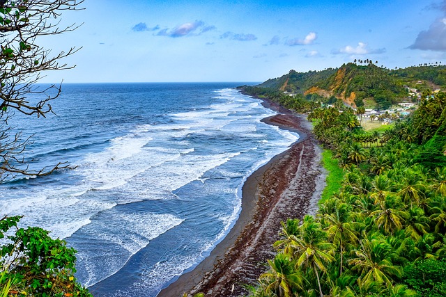 image from Day Trips Windward Islands