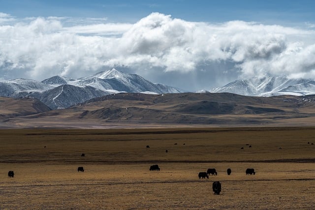 image from Xinjiang Tianshan