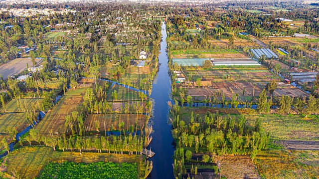 image from Xochimilco