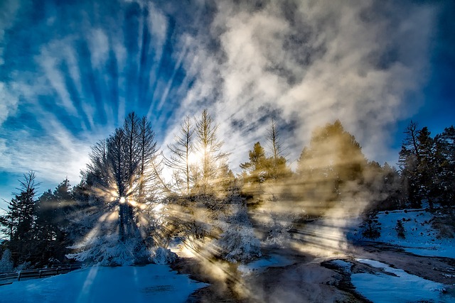 image from Yellowstone National Park Wy 